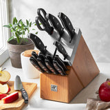 ZWILLING TWIN Signature 15-pc Self-Sharpening Knife Block Set