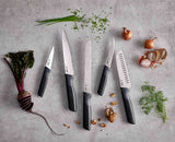 Elevate™ Carousel 5-piece Multicolour Knives Set