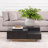 Coffee Table Nerone Charcoal grey oak veneer | brushed brass finish