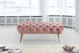 Amara Luxury Velvet Bench with Gold Stainless Steel Legs for Contemporary Home Elegance and Comfort