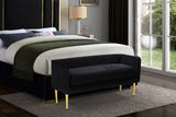 Audrey Contemporary Velvet Bench with Golden Legs – Stylish Seating for Modern Homes and Spaces