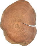 Woodland Live Edge Acacia Wood End Table with Acrylic Legs – Stunning Contemporary Home Accent!