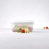 ZWILLING Fresh & Save Plastic Lunch Box Semitransparent Airtight Food Storage Container