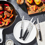 ZWILLING Four Star 4-pc Steak Knife Set