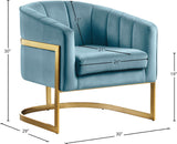 Carter Contemporary Velvet Accent Chair with Gold Stainless Steel Legs for Elegant Home Decor