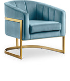 Carter Contemporary Velvet Accent Chair with Gold Stainless Steel Legs for Elegant Home Decor