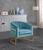 Carter Contemporary Velvet Accent Chair with Gold Stainless Steel Legs for Elegant Home Decor