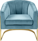 Carter Contemporary Velvet Accent Chair with Gold Stainless Steel Legs for Elegant Home Decor