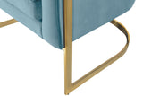 Carter Contemporary Velvet Accent Chair with Gold Stainless Steel Legs for Elegant Home Decor