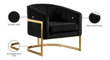 Carter Contemporary Velvet Accent Chair with Gold Stainless Steel Legs for Elegant Home Decor