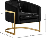 Carter Contemporary Velvet Accent Chair with Gold Stainless Steel Legs for Elegant Home Decor