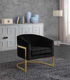Carter Contemporary Velvet Accent Chair with Gold Stainless Steel Legs for Elegant Home Decor