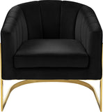 Carter Contemporary Velvet Accent Chair with Gold Stainless Steel Legs for Elegant Home Decor