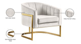 Carter Contemporary Velvet Accent Chair with Gold Stainless Steel Legs for Elegant Home Decor