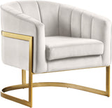 Carter Contemporary Velvet Accent Chair with Gold Stainless Steel Legs for Elegant Home Decor