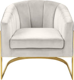 Carter Contemporary Velvet Accent Chair with Gold Stainless Steel Legs for Elegant Home Decor