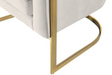 Carter Contemporary Velvet Accent Chair with Gold Stainless Steel Legs for Elegant Home Decor