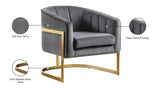Carter Contemporary Velvet Accent Chair with Gold Stainless Steel Legs for Elegant Home Decor