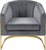 Carter Contemporary Velvet Accent Chair with Gold Stainless Steel Legs for Elegant Home Decor