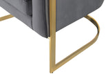 Carter Contemporary Velvet Accent Chair with Gold Stainless Steel Legs for Elegant Home Decor