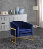 Carter Contemporary Velvet Accent Chair with Gold Stainless Steel Legs for Elegant Home Decor