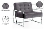 Alexis Velvet Accent Chair - Cozy Contemporary Design with Durable Stainless Steel Base for Comfort