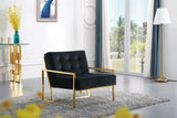 Pierre Contemporary Accent Chair with Gold Stainless Steel Base - Elegant Modern Design for Your Home