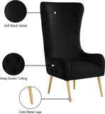 Alexander Contemporary Velvet Accent Chair with Gold Metal Legs and Deep Button Tufting Design