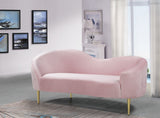 Ritz Contemporary Loveseat with Plush Upholstery and Elegant Gold Legs for Chic Home Style