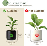 Jute Planters with Lining, Olive & Natural, 6.5" Set of 2 (16 Units)