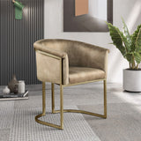 Tierra Luxurious Velvet Dining Chair with Brushed Brass Finish and Contemporary Iron Frame Design