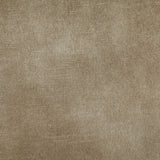 Tierra Luxurious Velvet Dining Chair with Brushed Brass Finish and Contemporary Iron Frame Design