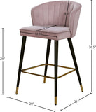 Cassie Contemporary Counter Stools - Set of 2 with Channel Tufting and Sleek Gold Accents