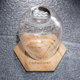 Set of 2 Zodiac Sign Wine Glasses with 2 Wooden Coasters (Capricorn)
