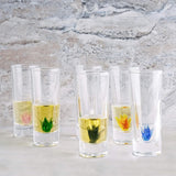 Tequila Decanter Tequila Glasses Set, 6 Agave Sipping Shot Glass (Agave)