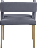 Caleb Contemporary Dining Chairs Set of 2 - Luxurious Velvet Comfort with Stylish Iron Legs