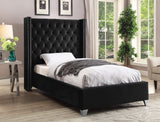 Aiden Velvet Bed - Elegant Wing Design with Deep Tufting, Chrome Nailheads & Solid Wood Frame