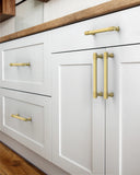 DESIGN4518 Brushed Gold Cabinet Pulls | Accent Knurled Handles for Modern Luxury Kitchens, 3-3/4"