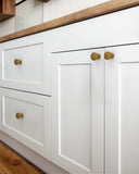DESIGN3835 Brushed Brass Solid Cabinet Knobs – Sleek Design, Easy to Install, Built to Last