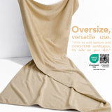 40x80 Oversized Bath Sheets – 12 Pack | Premium 600 GSM Cotton