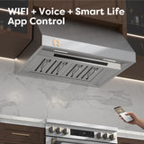 CIARRA Professional Series 304 Stainless Steel 30 inch 950 CFM Under Cabinet Range Hood with 4-Speed Levels and Smart Control | CAS30928A-OW
