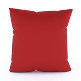 Throw Pillow - 20 x 20 x 4