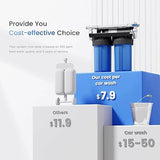 Waterdrop Spotless Car Wash System with Replacement Filter