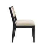 Aram Dining Chairs (Set of 2)