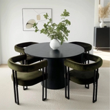 Mia Velvet Dining Chair with Arms (Set of 2)