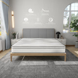 12" Plus Hybrid Mattress (U2)