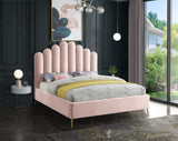 Lily Elegant Velvet Bed with Gold Steel Legs and Deep Channel Tufting for Contemporary Bedrooms
