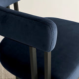 Mia Velvet Dining Chair with Arms (Set of 4)