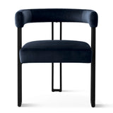 Mia Velvet Dining Chair with Arms (Set of 4)