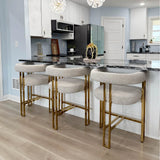 Mia 24" Modern Gold Chenille Counter Stool with Arms (Set of 2)